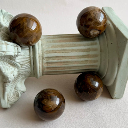 Fossiles Holz Kugel - 4cm