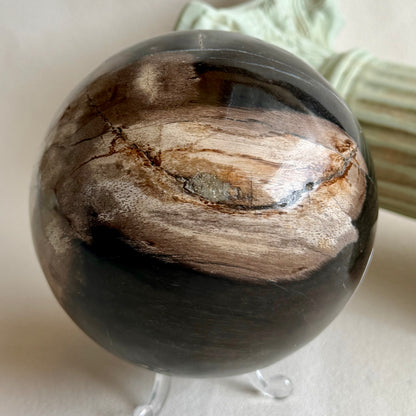 Fossiles Holz Kugel - 10cm - 92FH