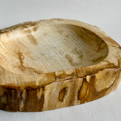 Fossiles Holz Schale 23x18cm