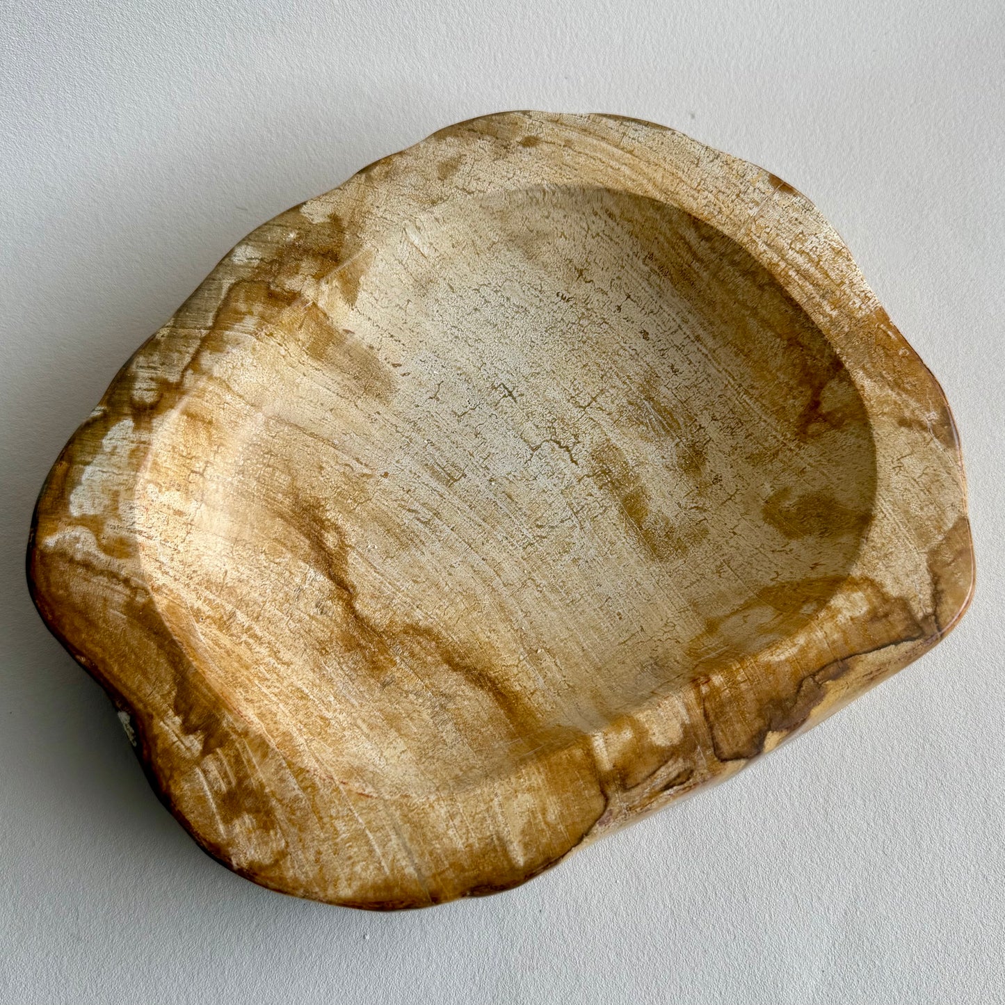 Fossiles Holz Schale 23x18cm