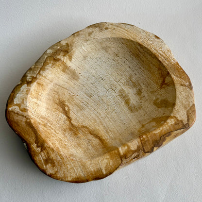 Fossiles Holz Schale 23x18cm