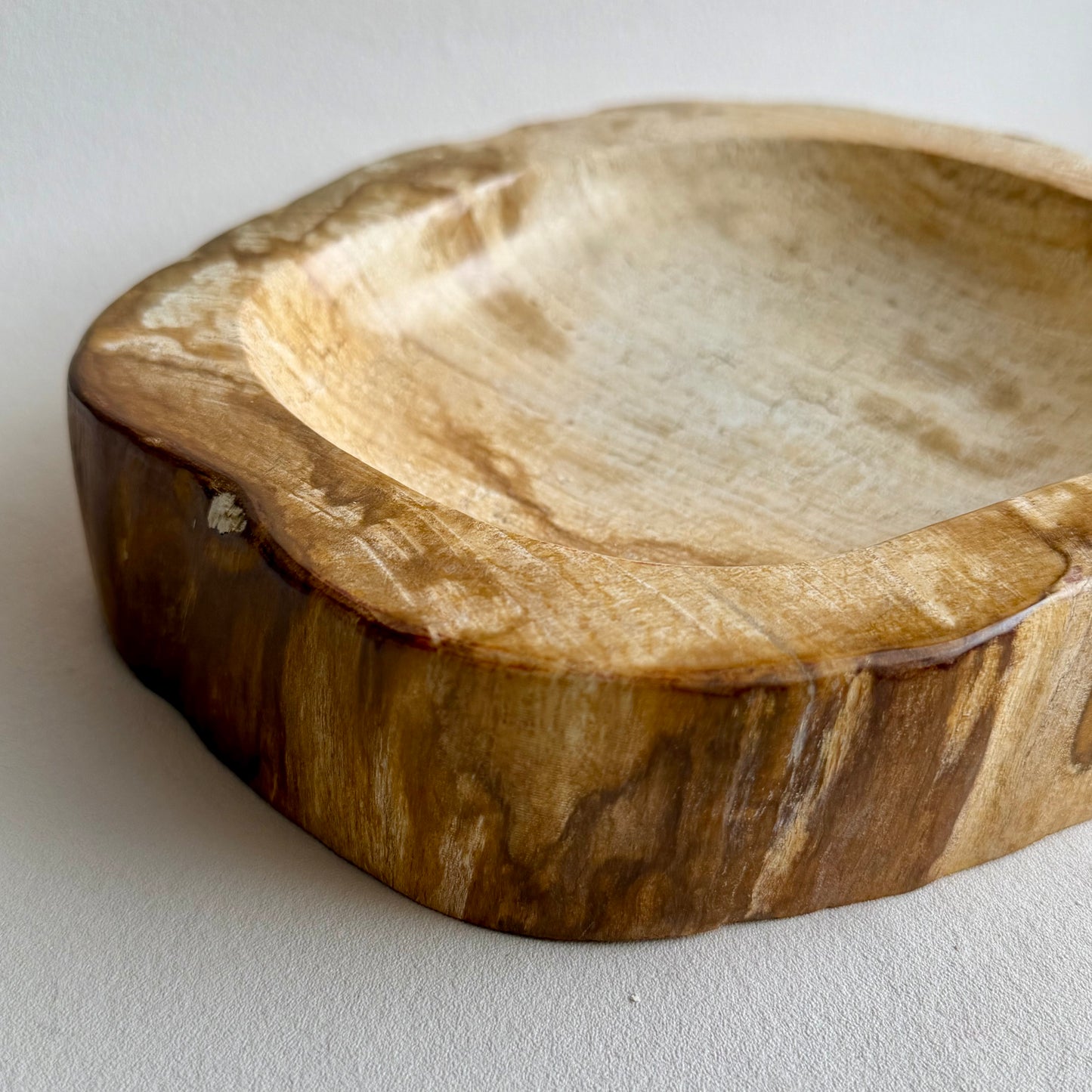 Fossiles Holz Schale 23x18cm