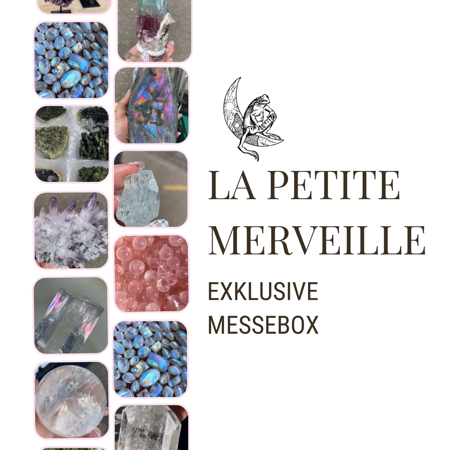 La Petite Merveille - Exklusive Messebox